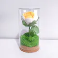 Handmade crochet flower in a glass dome with a cork base for aesthetic desk decoration - Gradient Yellow Rose