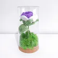 Handmade crochet purple flower lamp in glass dome with a natural wooden base - Gradient Purple Rose