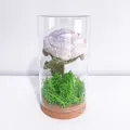 Handgefertigte Häkelblume im Glasdom mit Korksockel und künstlichem Moosdekor - Meerjungfrau Rose