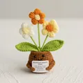 Handgemaakte gehaakte potplant met kleurrijke bloemen en emotionele steun boodschap - 3 Kleine Bloemen Geel