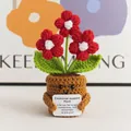 Handgemaakte gehaakte rode bloem in pot met een lachend gezicht en motivatiekaartje - 3 Kleine Bloemen Rood