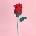 Rose rouge faite main au crochet avec feuilles vertes sur fond rose, cadeau de Saint-Valentin - Bordeaux