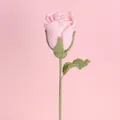 Handmade pink crochet rose flower with green stem for romantic tabletop decoration - Pink