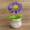 Handmade crochet purple daisy flower in white ceramic pot with woven yellow ribbon - Purple