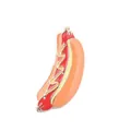 Cute anthropomorphic hot dog enamel pin with red sausage and golden metal edges - Hotdog Style (XZ0036)