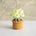 Handmade crochet white daisy potted plant with green leaves and brown knitted base - Multi-headed Daisy Mustard Green