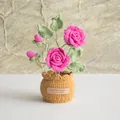 Handmade crochet pink rose potted plant with green leaves in a yellow knitted flower pot - Double Headed Rose Rose Red