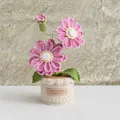 Handmade crochet zinnia flower pot with pink knitted petals and green leaves in a pot - Deep Pink