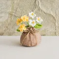 Nahaufnahme handgehäkelter Blumen im rustikalen Leinensack mit gelben und weißen Blüten - 6-Kopf Vergissmeinnicht mit gelbem Farbverlauf