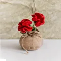 Détail d'oeillets rouges faits main au crochet dans un pot enveloppé de toile de jute rustique - Rouge