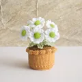 Handgemaakte gehaakte mini witte madeliefjes plant in een bruine geweven bloempot - Madeliefje Wit met Groene Kern