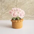 Handmade crochet forget-me-not potted plant in pink with a mustard yellow knitted pot - Daisy Light Pink