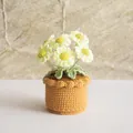Handmade crochet white daisy potted plant with yellow centers and brown knit base - Daisy Mustard Green
