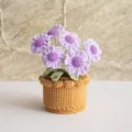 Handmade crochet purple daisy potted plant with six flowers in a brown knitted pot - Purple Daisy