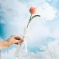 Handmade crochet pink tulip flower bouquet with white ribbon against a blue sky background - Pink Chubby Tulip