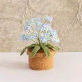 Handmade crochet potted plant with blue forget-me-not flowers in a brown knitted pot - 12 Head Forget-me-not Blue