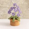 Handmade crochet potted plant with purple flowers and green leaves in a brown base - 12 Head Forget-me-not Purple