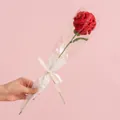 Handmade red knitted carnation flower in romantic gift bag with love ribbon - Carnation Red