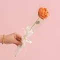 Handmade knitted orange rose in gift packaging with white ribbon and clear bag - Orange Rose
