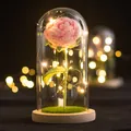 Handmade crochet pink rose night light in glass dome with warm LED lights and wooden base - Rose Pink