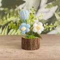 Handgefertigter Häkelkaktus und Blumen auf Naturholzsockel als Schreibtischdeko - Hellblaue Geschlossene Tulpe