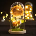Handmade crochet sunflower night light in a glass dome with a warm LED wooden base - Sunflower Yellow Puff