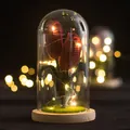 Tulipe rouge faite main au crochet sous dôme de verre avec lumières LED - Tulipe Rouge Foncé