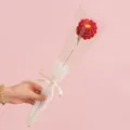 Handmade red crochet knitted rose flower in a clear gift bag for Valentine's Day - Red Ranunculus