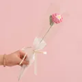 Handmade crochet pink camellia flower in gift wrapping with white ribbon - Persian Buttercup Pink Gradient