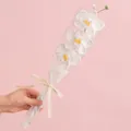 Handmade crochet orchid bouquet with white petals and yellow centers in gift wrap - Phalaenopsis White