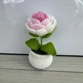 Rosa all'uncinetto fatta a mano in vaso bianco, petali con sfumatura rosa e bianco - Rosa Sfumato Rosa - Vaso Classico