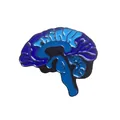 Spilla in smalto a forma di cervello blu con scritta THINK dal design creativo - Xz1472