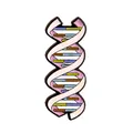 Λεπτομέρεια καρφίτσας σμάλτου DNA διπλής έλικας με έντονες ροζ και μοβ σπειροειδείς ταινίες - Δομή Διπλής Έλικας DNA (XZ0863)