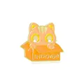 Broche chat orange mignon dans un carton avec texte Introvert pour vêtements - Style Chat Introverti Rose Orange Dans Boîte (CZ0431-2)