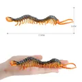Realistic 17.5cm centipede toy model with detailed orange legs for educational play - Centipede