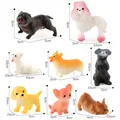 Set di 8 statuette realistiche di cuccioli con dimensioni su sfondo bianco pulito - Collezione di varie razze canine famose (LX847)