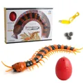 Infrared remote control centipede toy with USB charger and red egg shaped transmitter - Centipede Style / Yellow Centipede