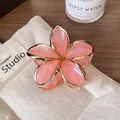 Haarklammer mit rosa Frangipani-Blüte, goldenem Rand und Harz-Blütenblättern - Transparentes Rosa