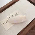 Vintage oval acetate hair clip in pearlescent cream white with handmade gold lettering - Radiant White Oval