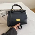 Minimalist black lychee pattern leather square bag with elegant golden metal buckle - Black