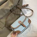 Light blue and brown leather square crossbody bag with pebbled texture and dual straps - Blue