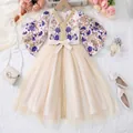 Detail of floral embroidery and gold trim on the neck of this girl princess dress - Champagne / 4Y