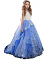 Girl's dress with white lace bodice, blue tulle skirt, and 3D butterfly embroidery - 4-5 / Sapphire Blue