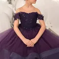 Elegant purple lace off-shoulder flower girl dress with voluminous tulle tutu skirt - 2-3 / Deep purple