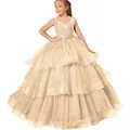 Detail of girls champagne tulle party dress with delicate lace floral appliques and sequins - 2-3 / Tops / Champagne