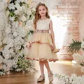Vestido de princesa color champán sin mangas para niña con encaje, tul y zapatos a juego - 3Y / Albaricoque