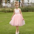 Detail of pink flower girl dress with lace embroidery and layered fluffy tulle skirt - 2-3 / Dusty Pink