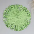 Detailed top-down shot of circular grass green woven placemat with fringed edges - Diameter 30 / Green