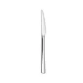 Modern silver 304 stainless steel steak knife with high polish and serrated edge - Silver Knife