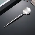 Moderno cucchiaio rotondo in acciaio inossidabile 304 spazzolato con manico lungo su fondo nero - Cucchiaio Argento